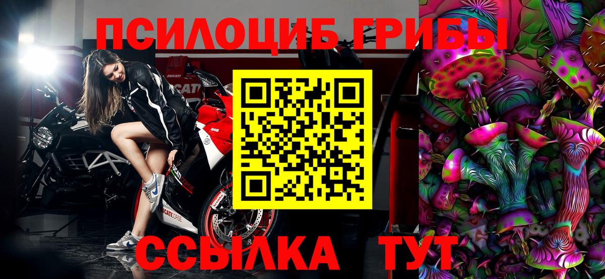 Галлюциногенные грибы MAGIC MUSHROOMS  Вход с VPN  Таганрог 